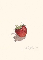 Aus den Miniaturen: Erdbeere, 2006, Aquarell und Graphit auf Hadern